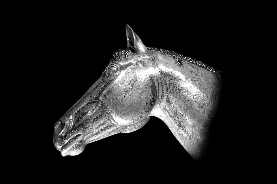 Голова лошади - вневременная элегантность в совершенной красоте